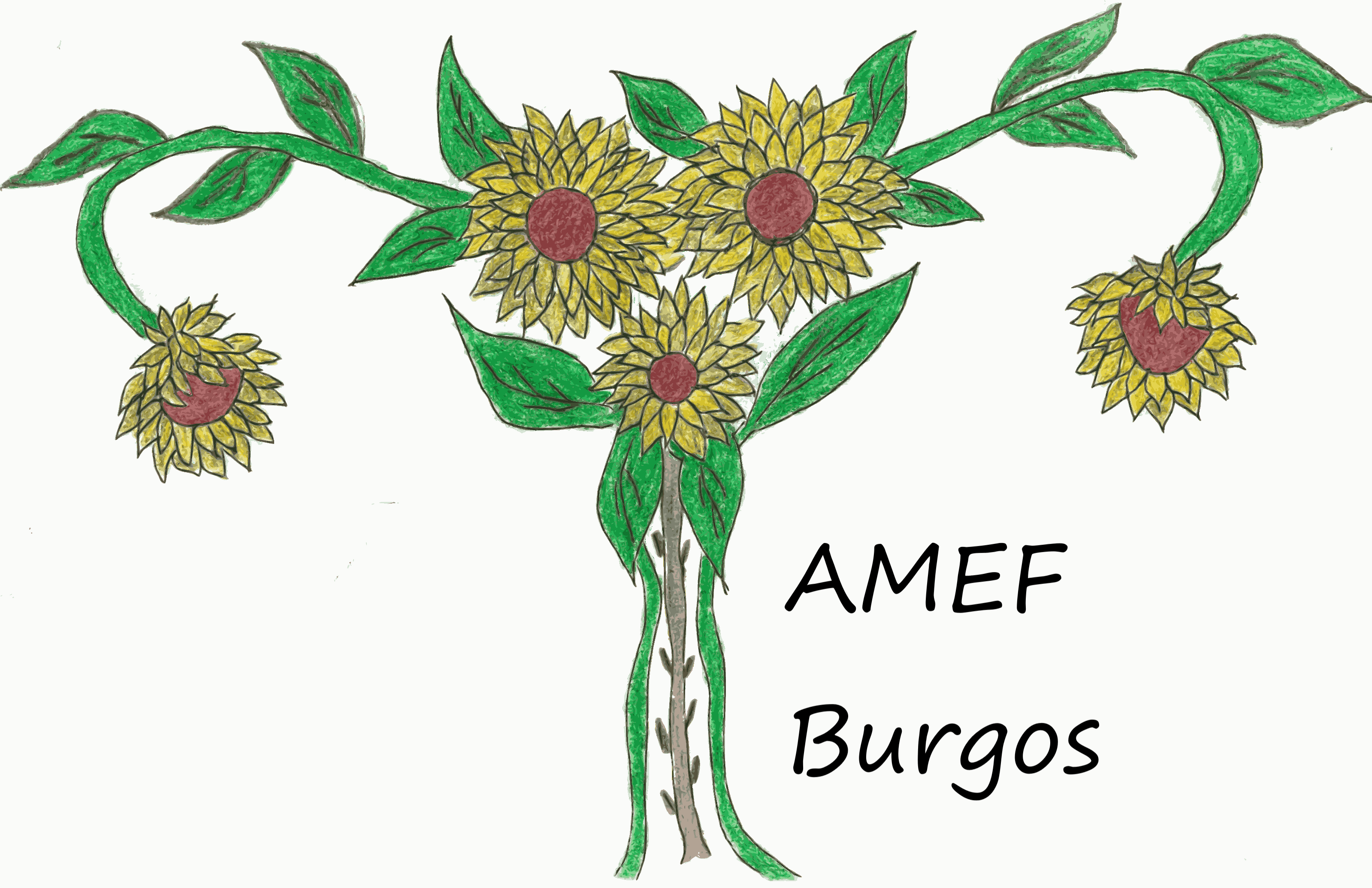 logo de asociación mujeres con endometriosis y sus familiares en Burgos
